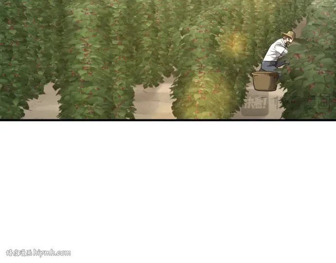 第501页