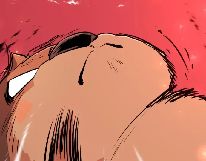 第222页