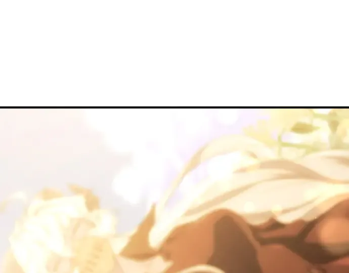 第648页