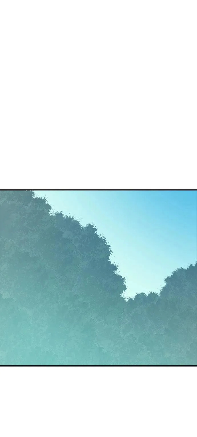 第255页