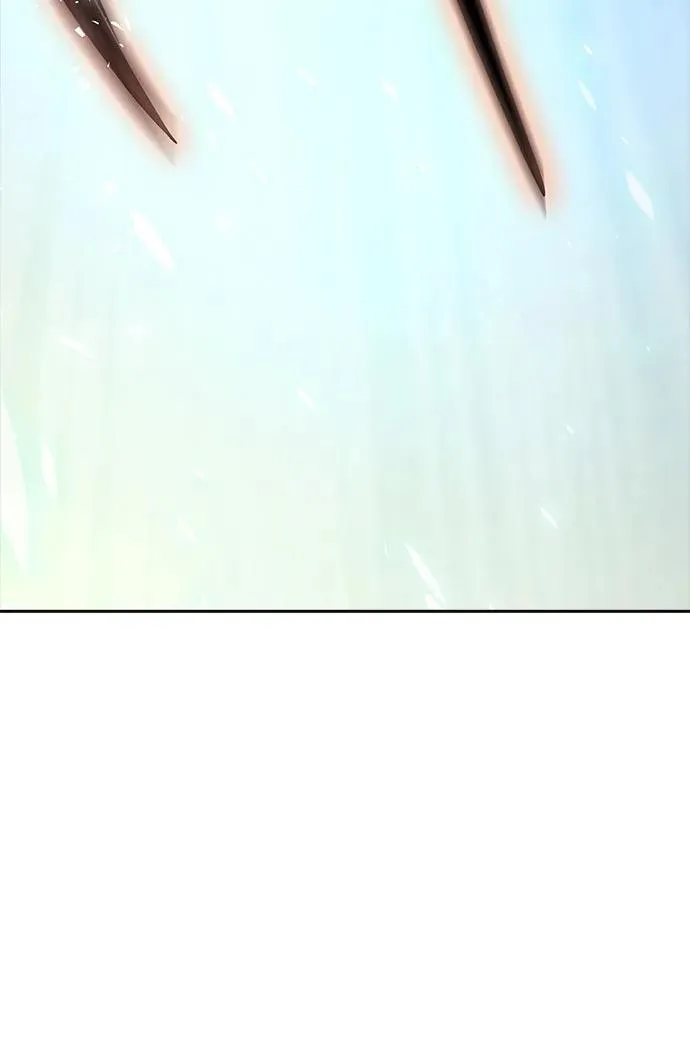 第333页