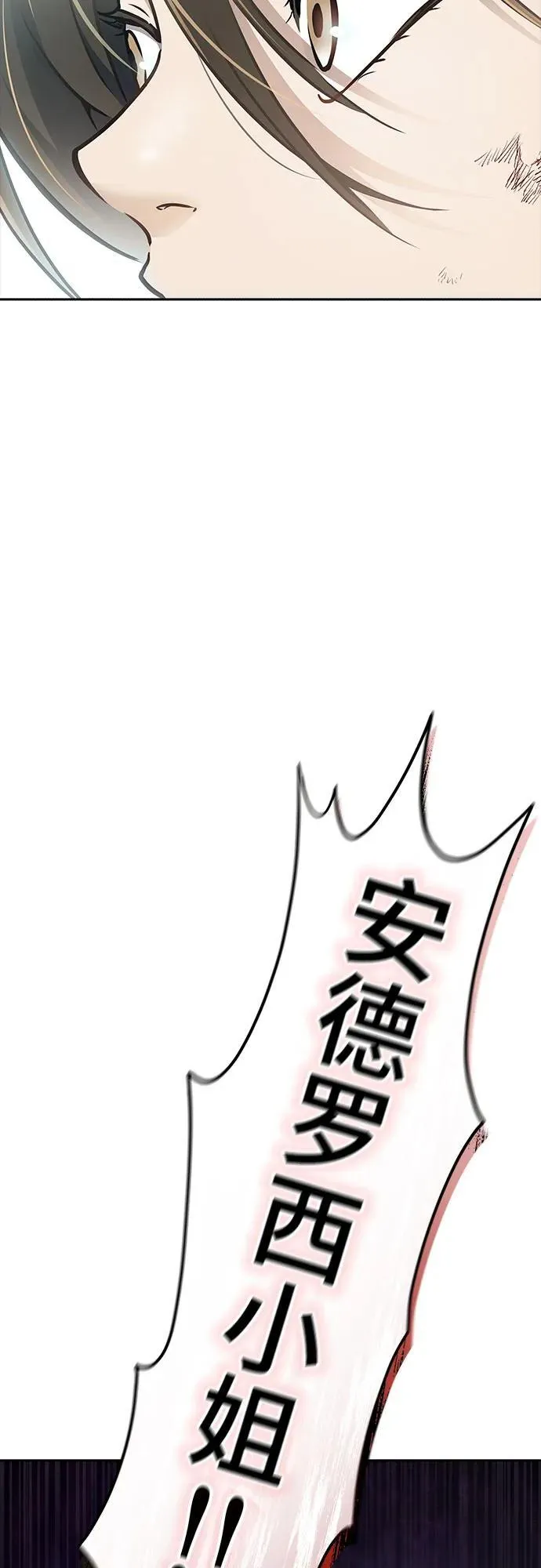 第291页