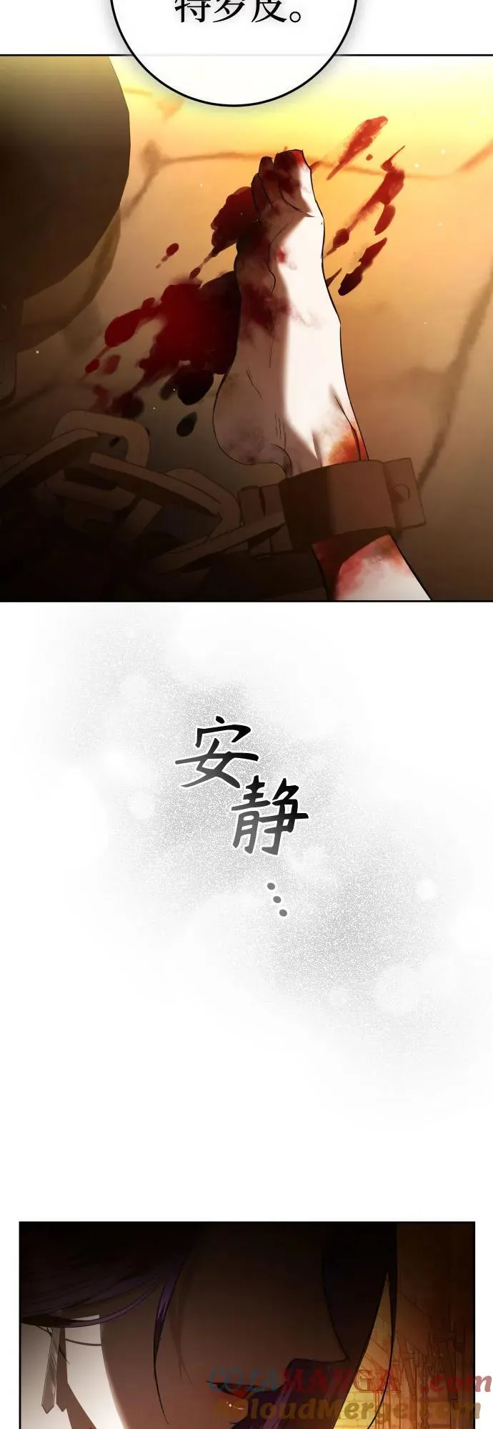 第216页
