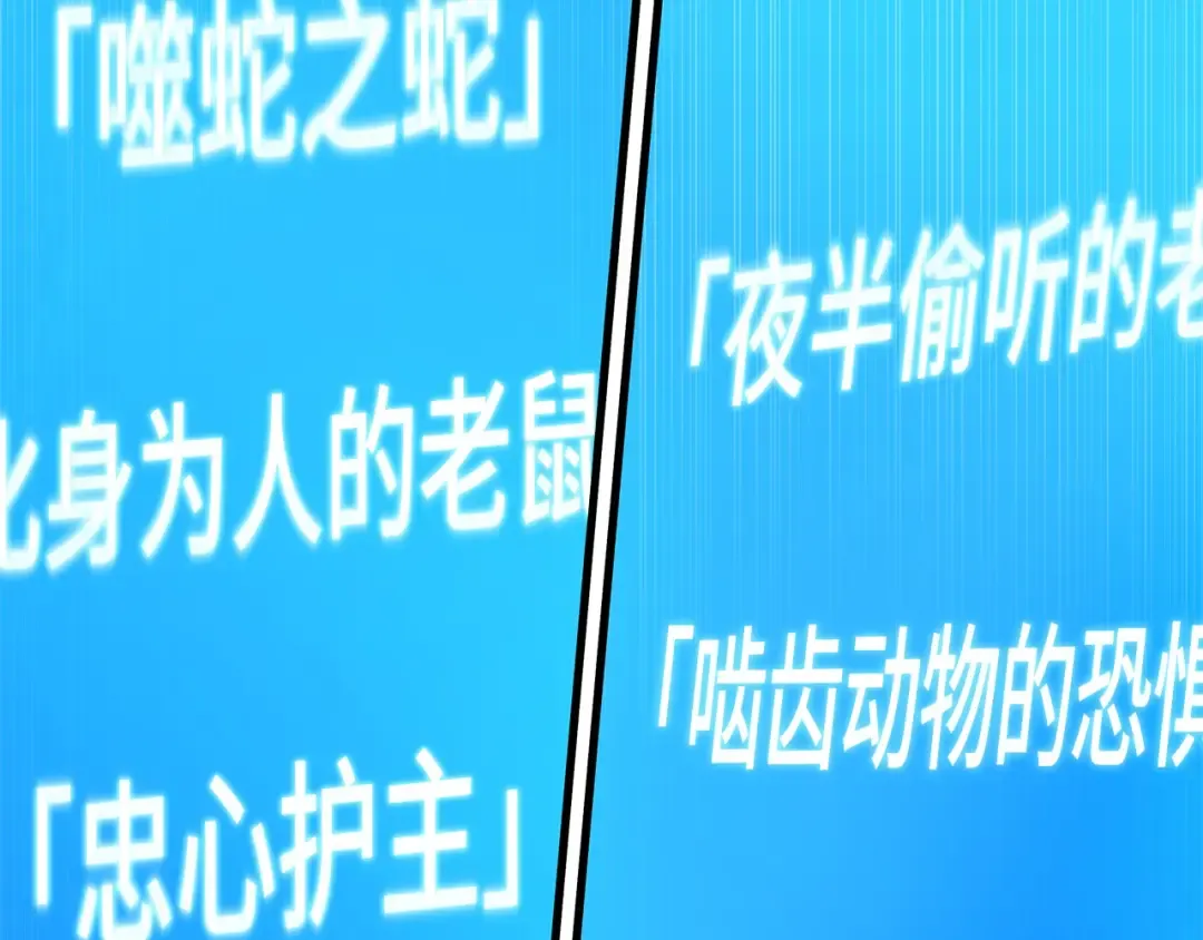 第207页