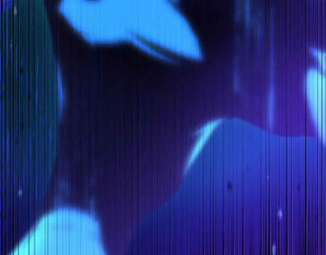 第456页