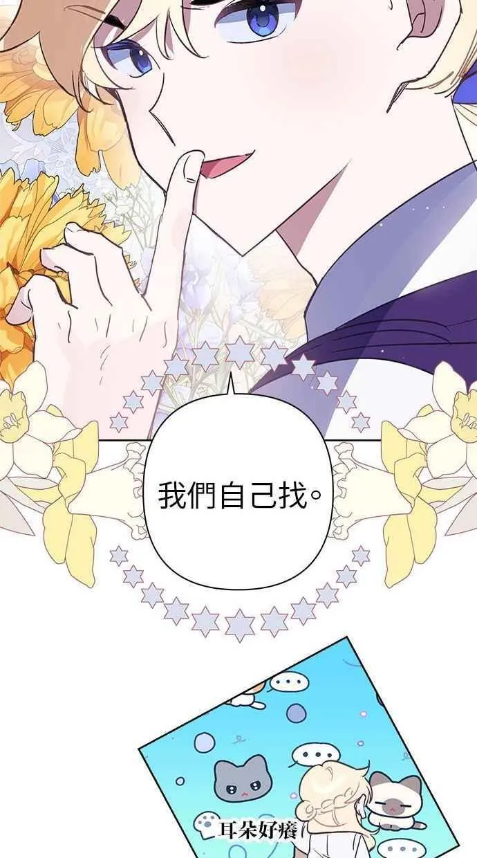 第231页