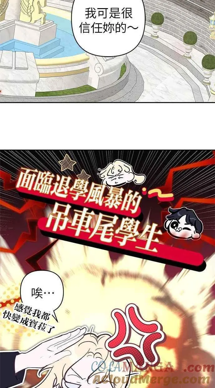 第243页