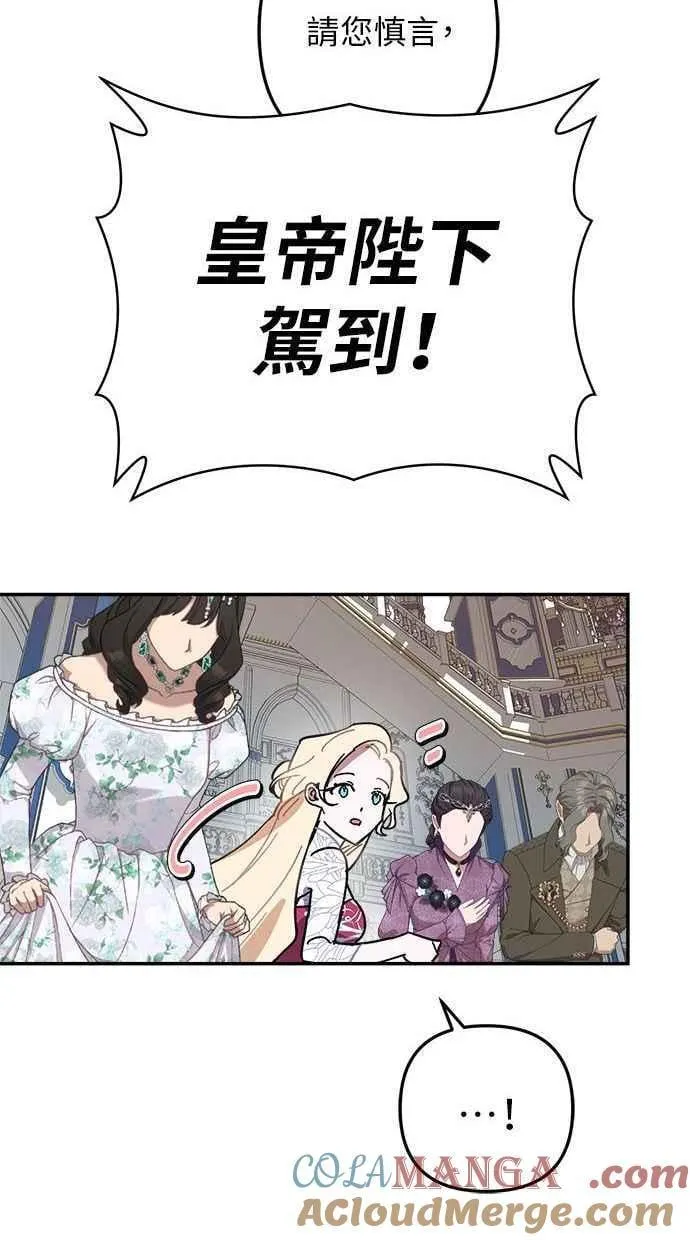 第243页