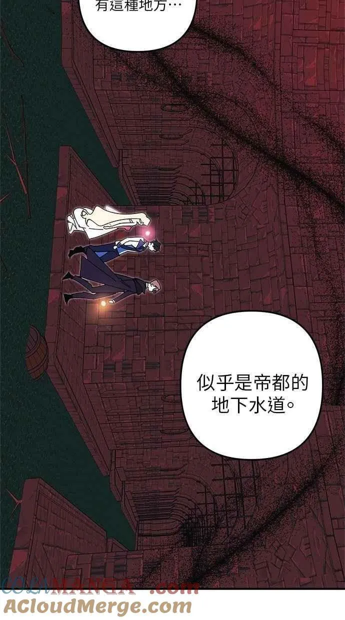 第234页
