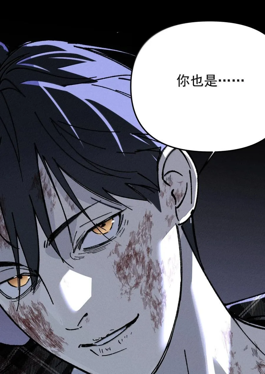 第231页