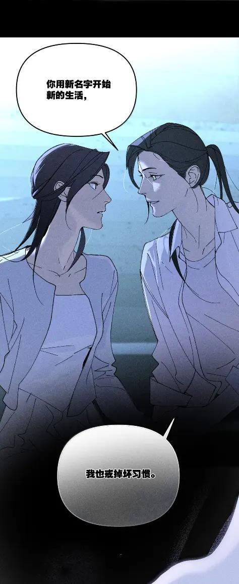 第204页