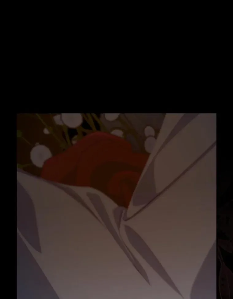 第255页
