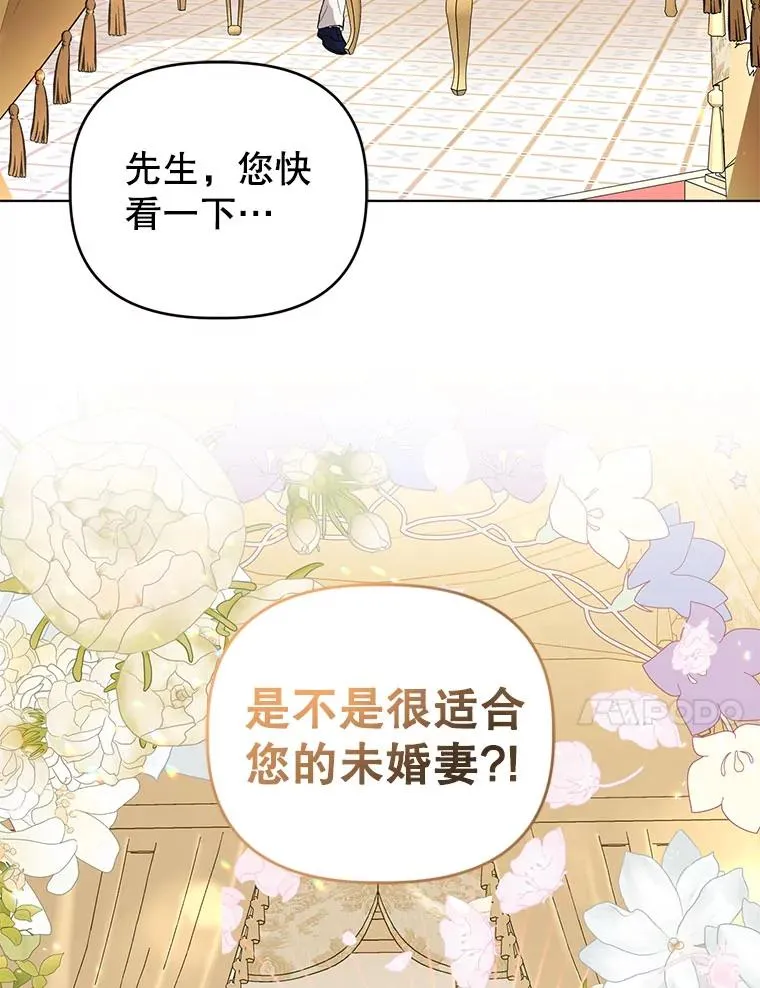 第204页