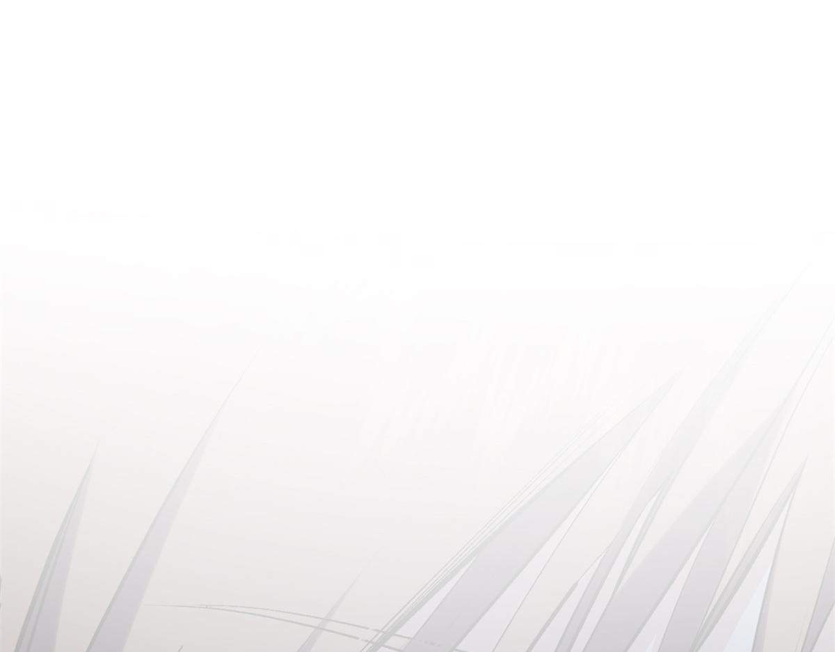 第252页
