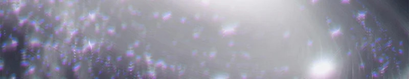 第339页