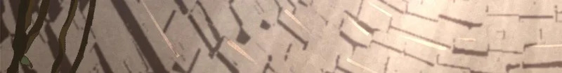 第204页