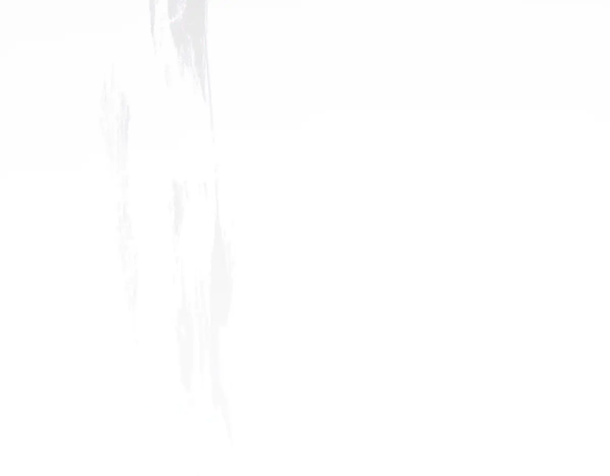 第534页