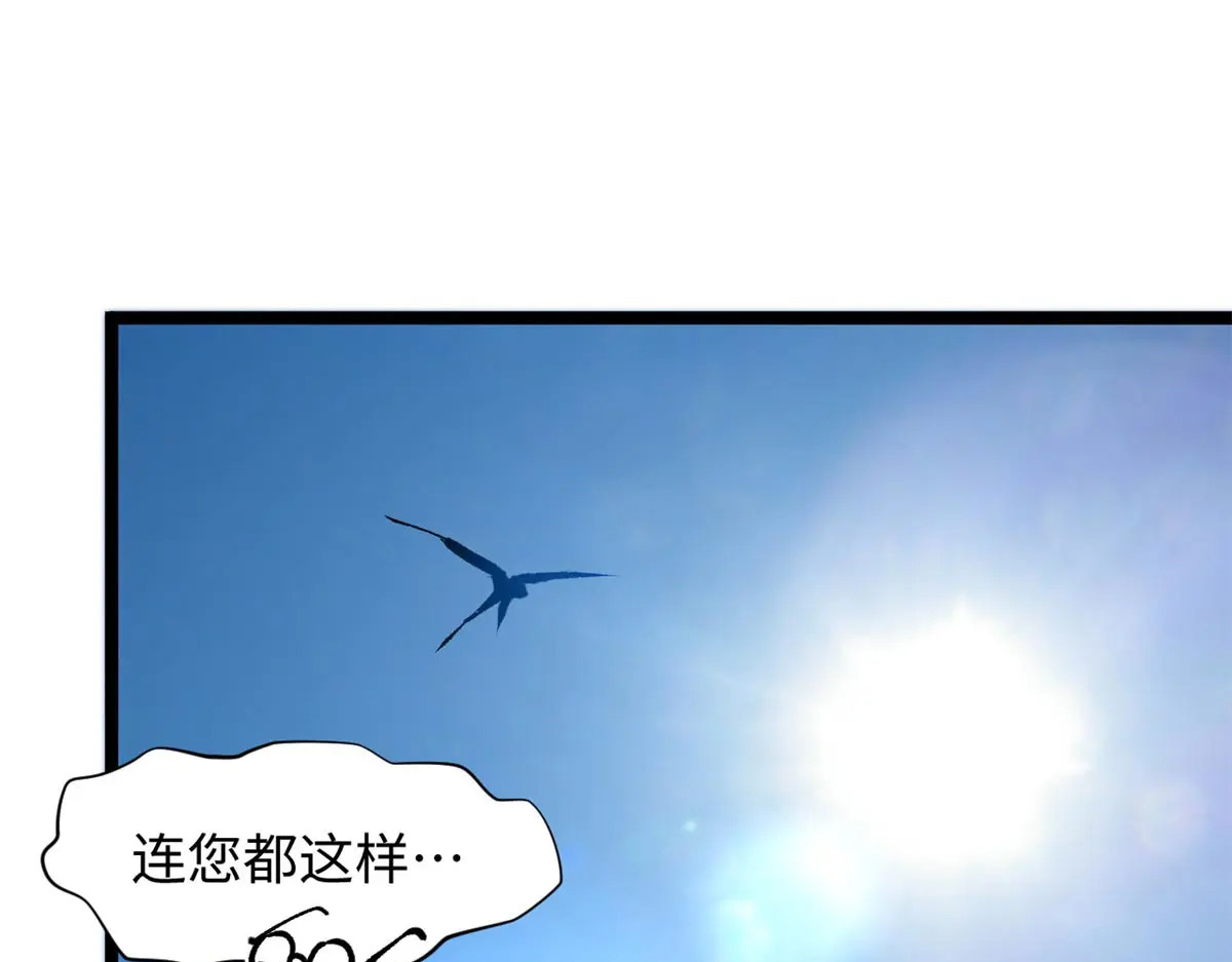 第294页