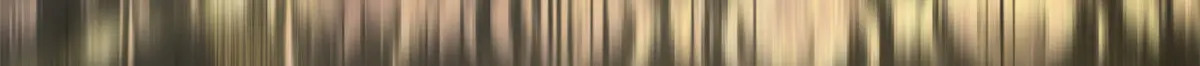 第405页