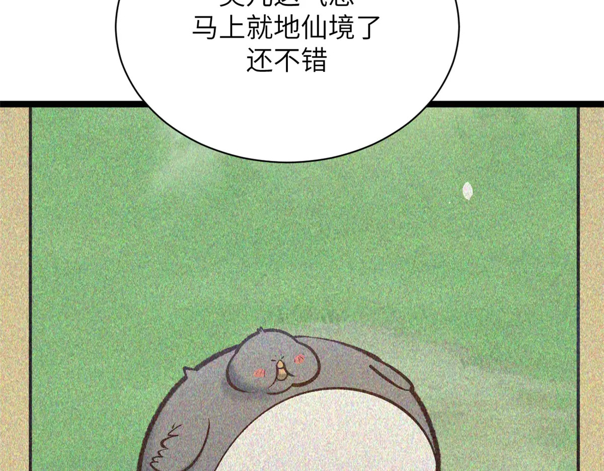 第459页