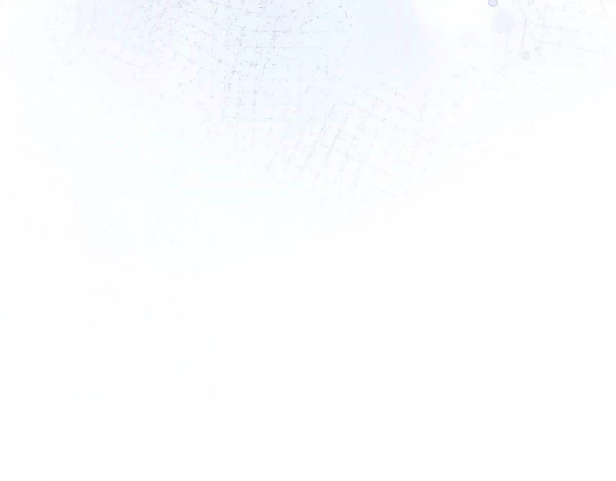 第558页