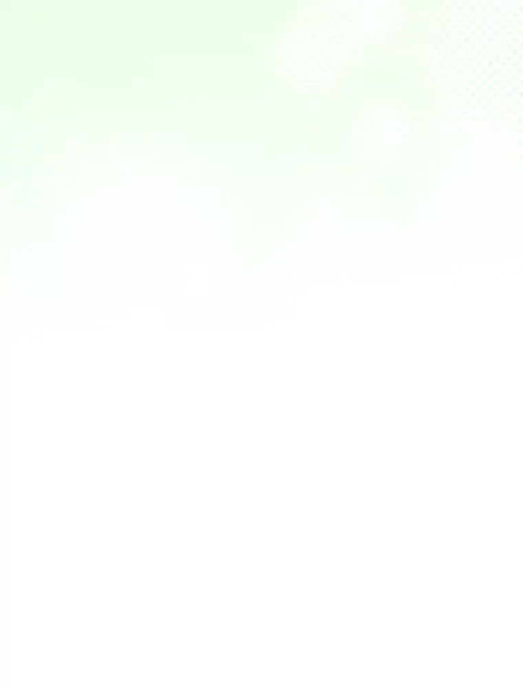 第333页
