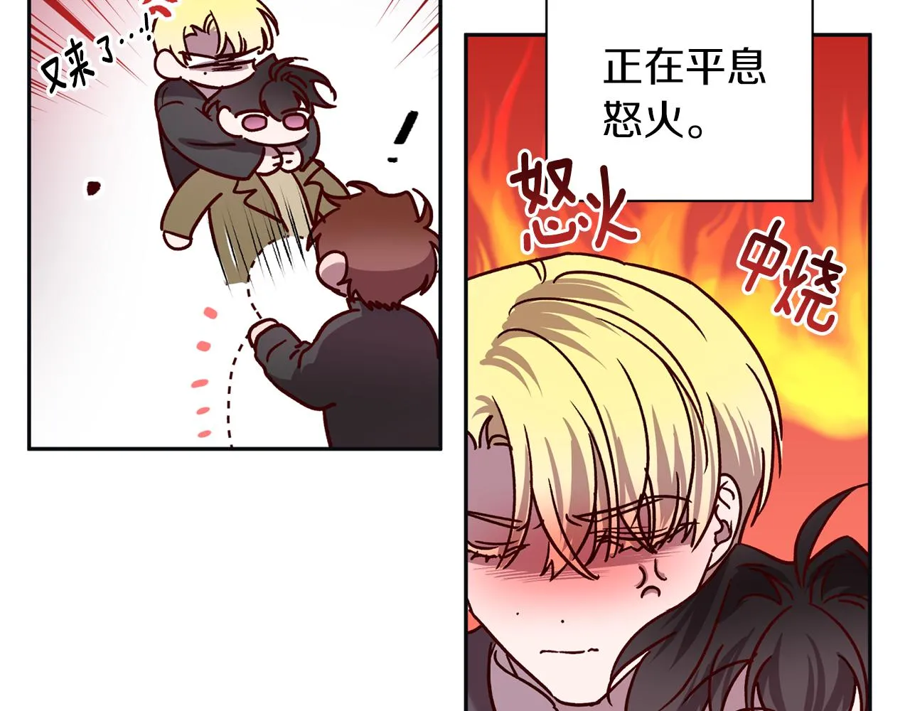 第204页