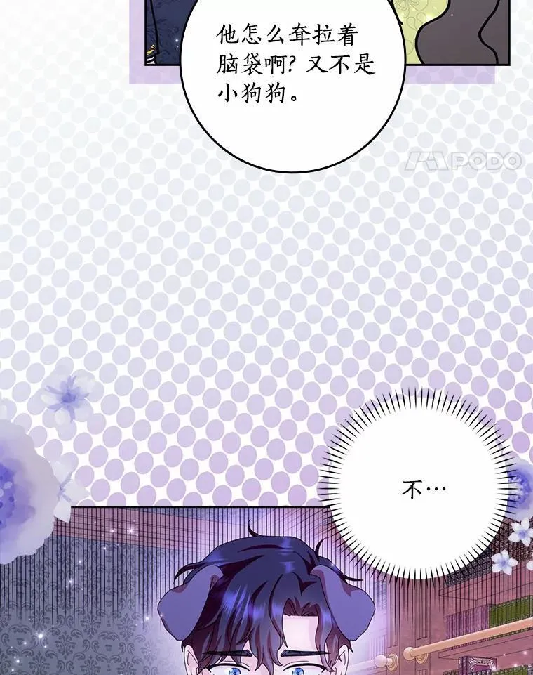 第255页