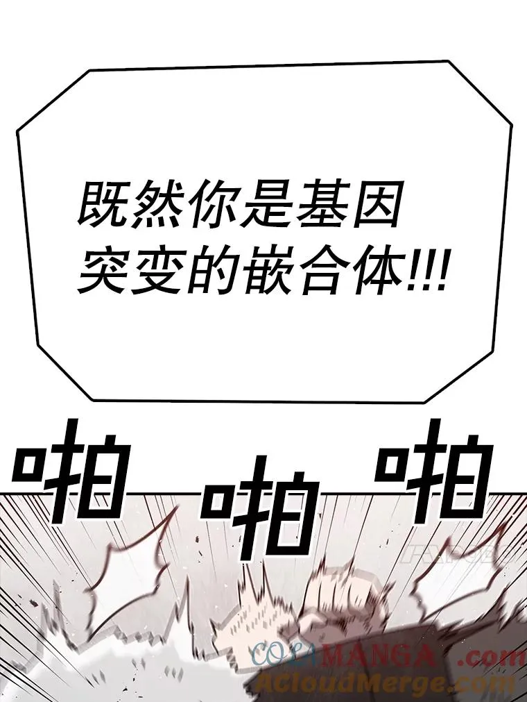 第204页