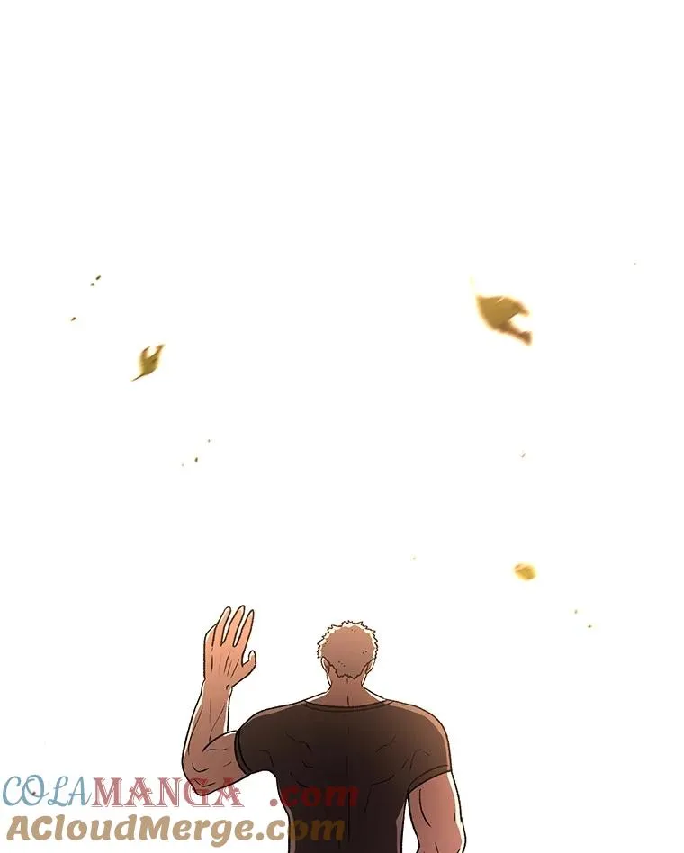 第252页