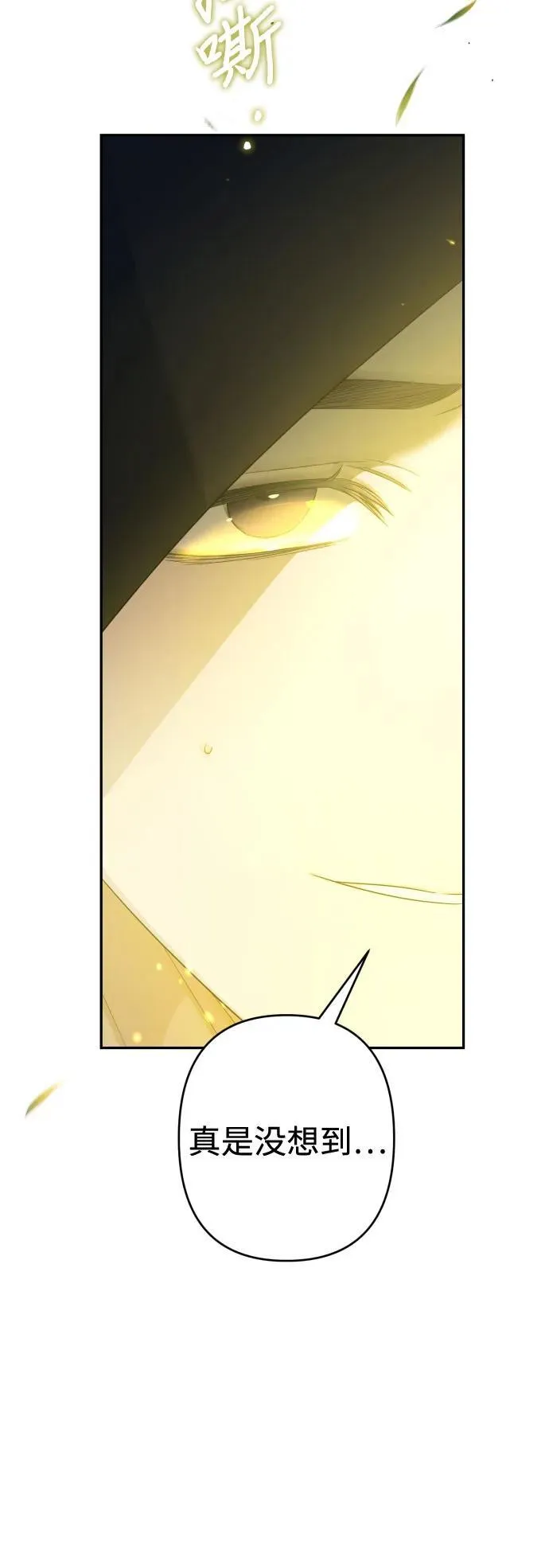 第213页