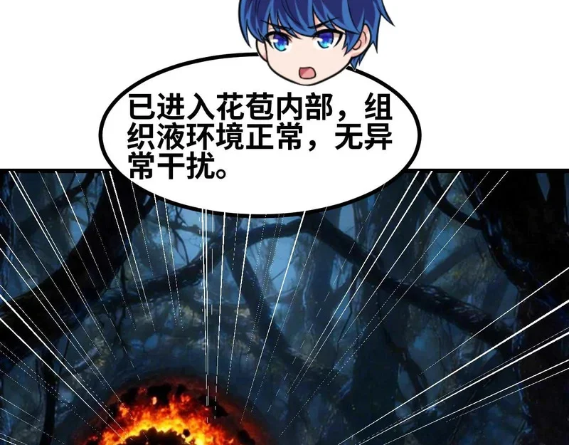 第264页