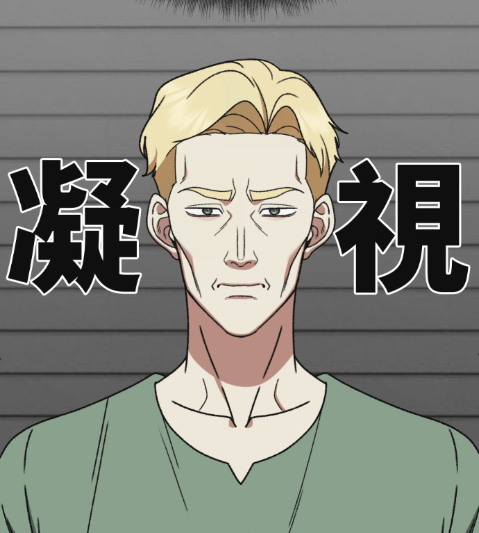 第333页