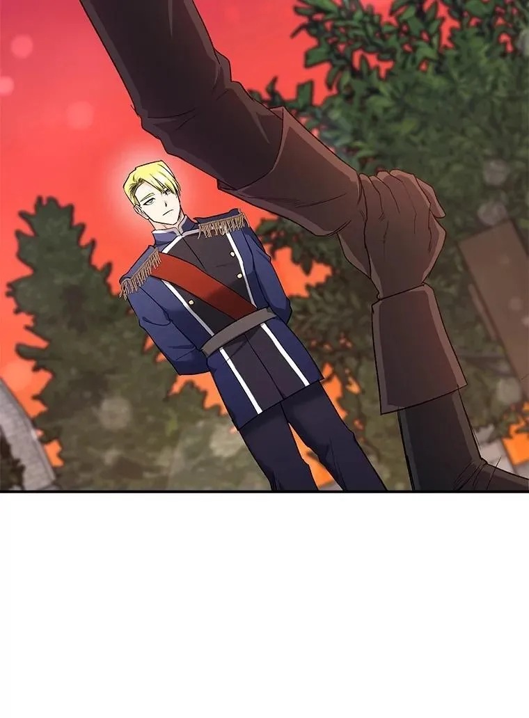 第231页