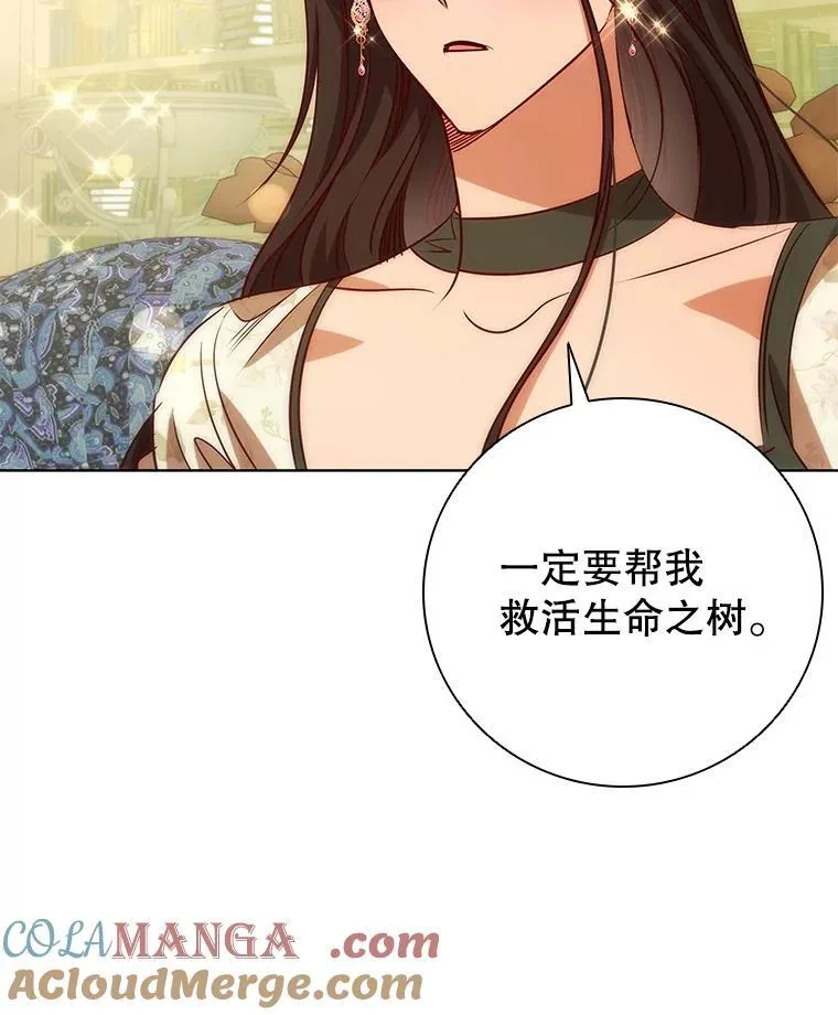 第204页
