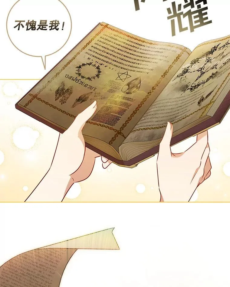 第231页
