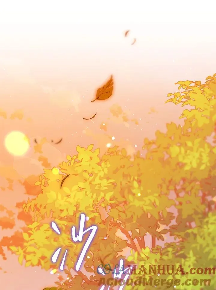 第216页