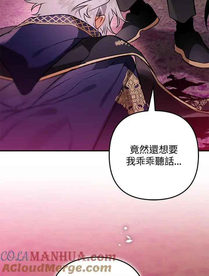 第204页