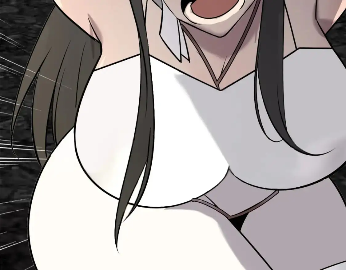 第282页