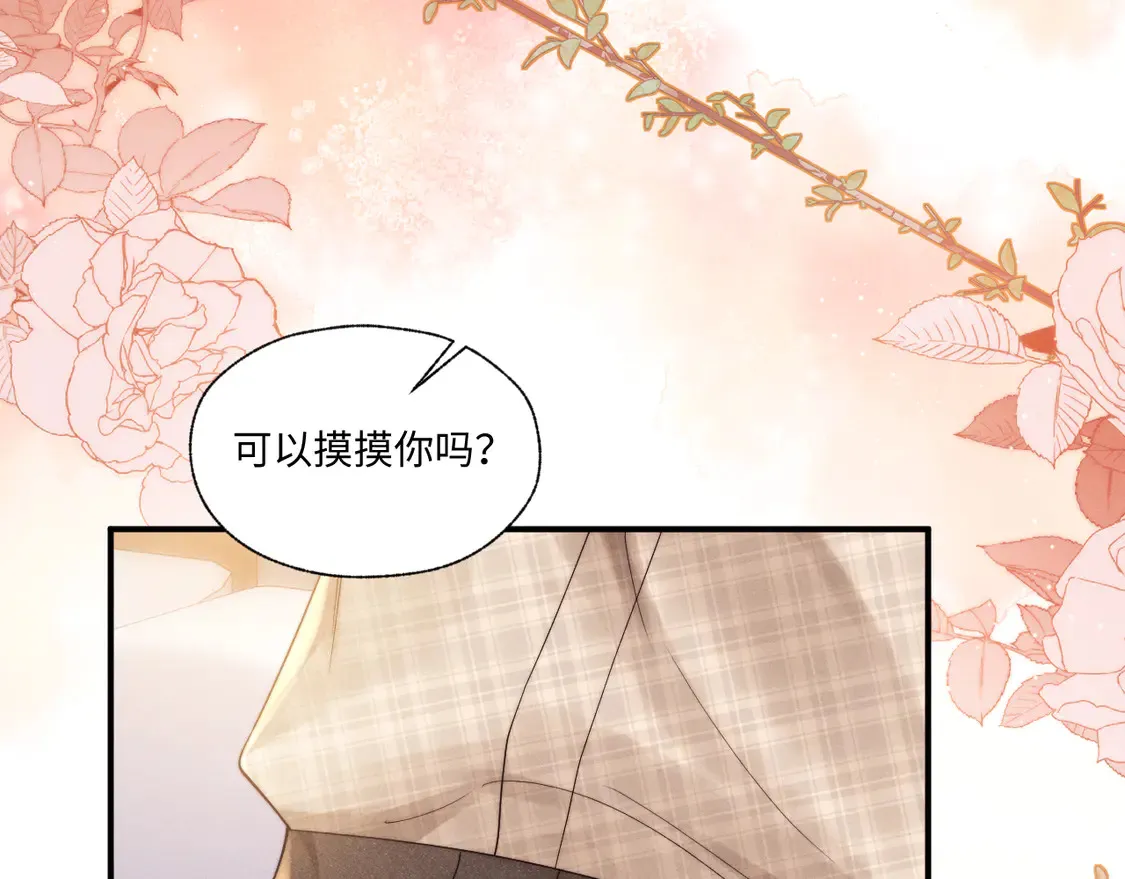 第207页