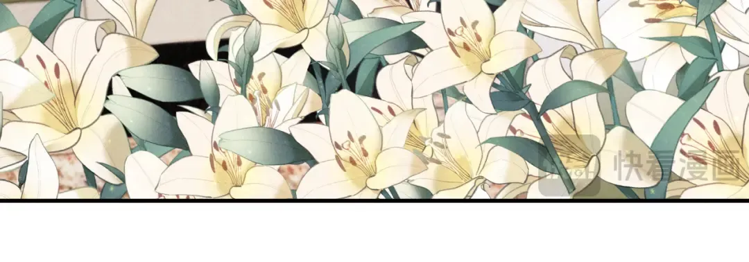 第243页