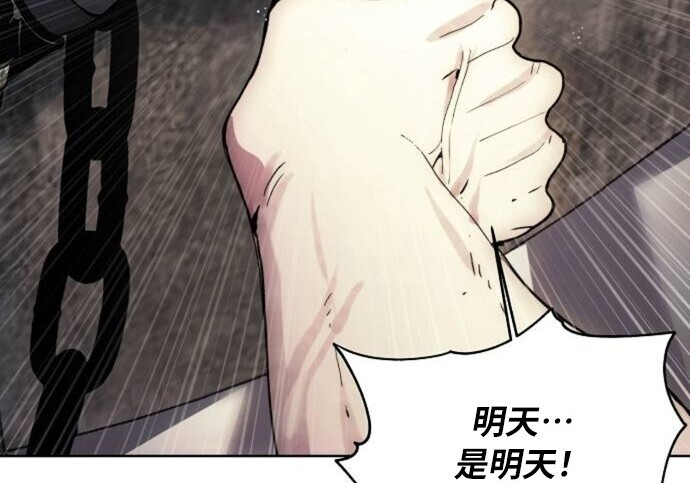 第504页
