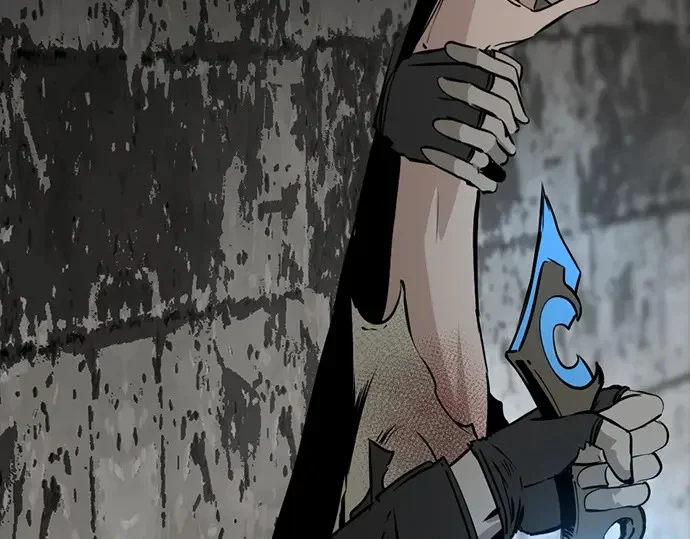 第252页