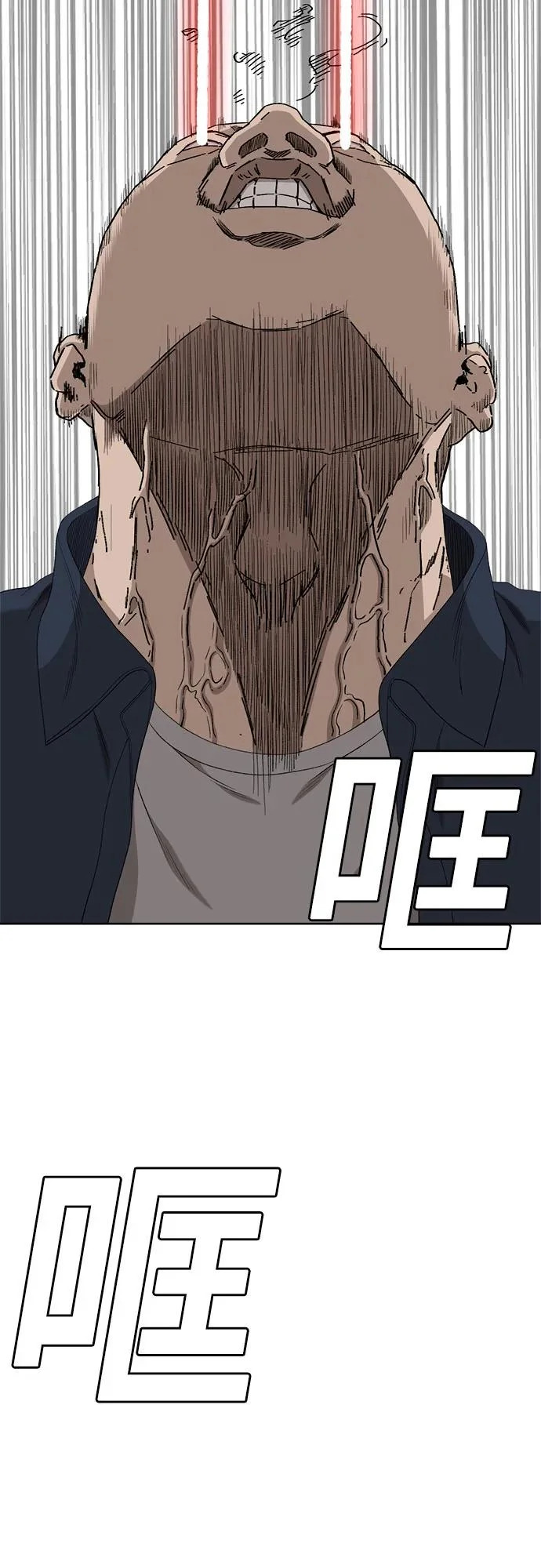 第204页