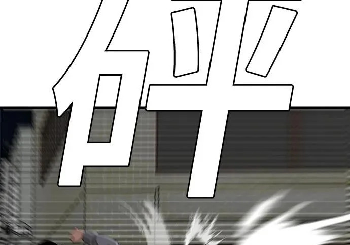 第528页