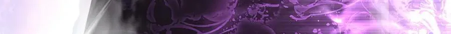 第384页