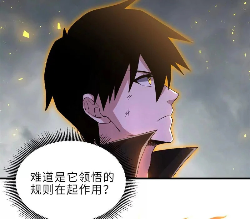第246页