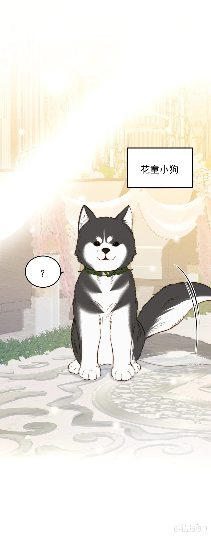 第171页