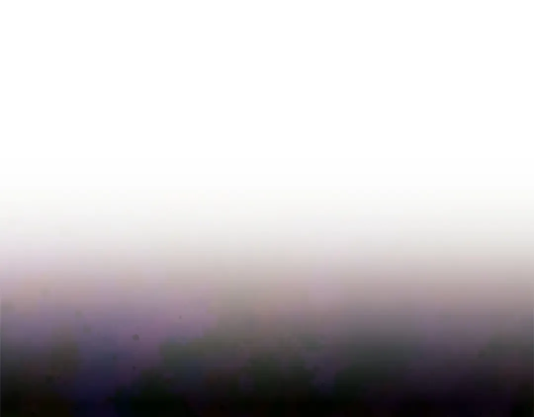 第423页