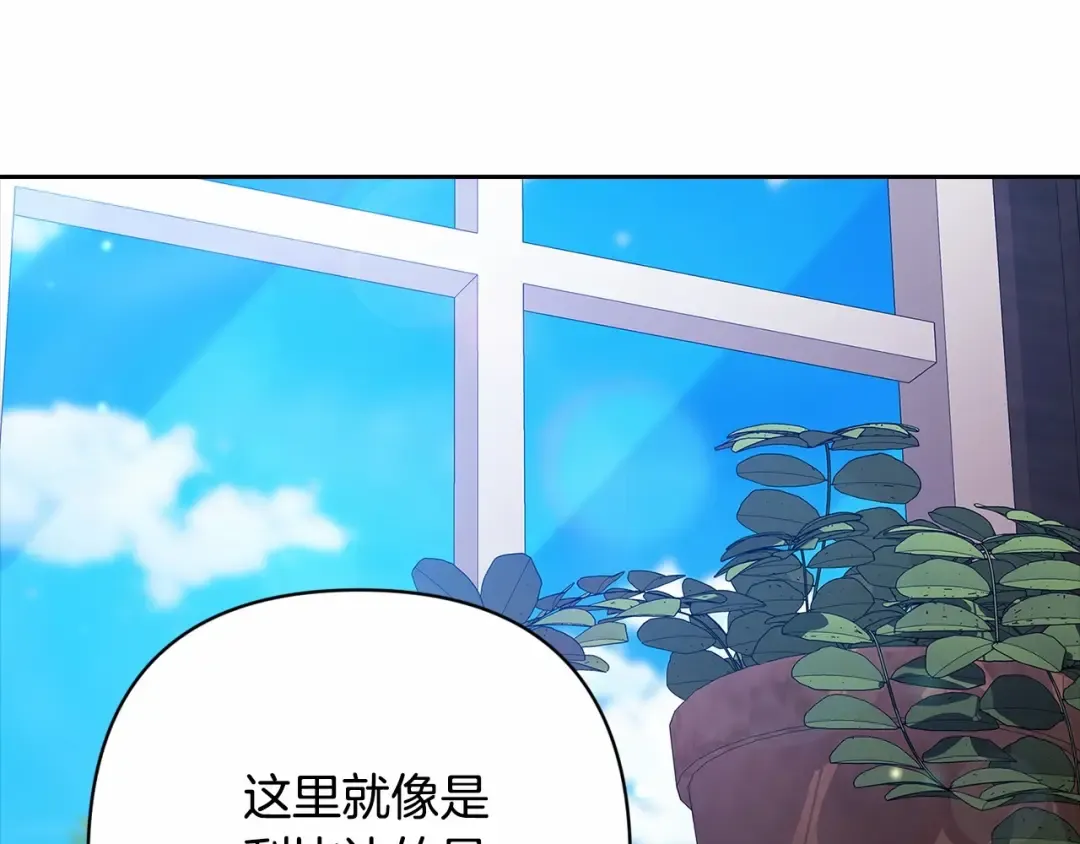 第510页